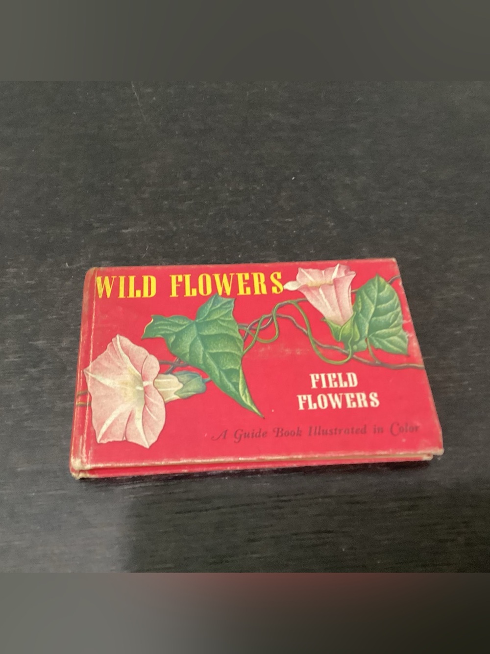 Vtg. Wild Flowers A Guide Book Illustrated in Color, No. 2004.by T. H. Everett